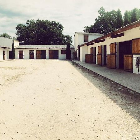 Maison Au Milieu Des Chevaux LʼIsle-sur-la-Sorgue 외부 사진